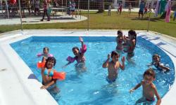 Mini Pool